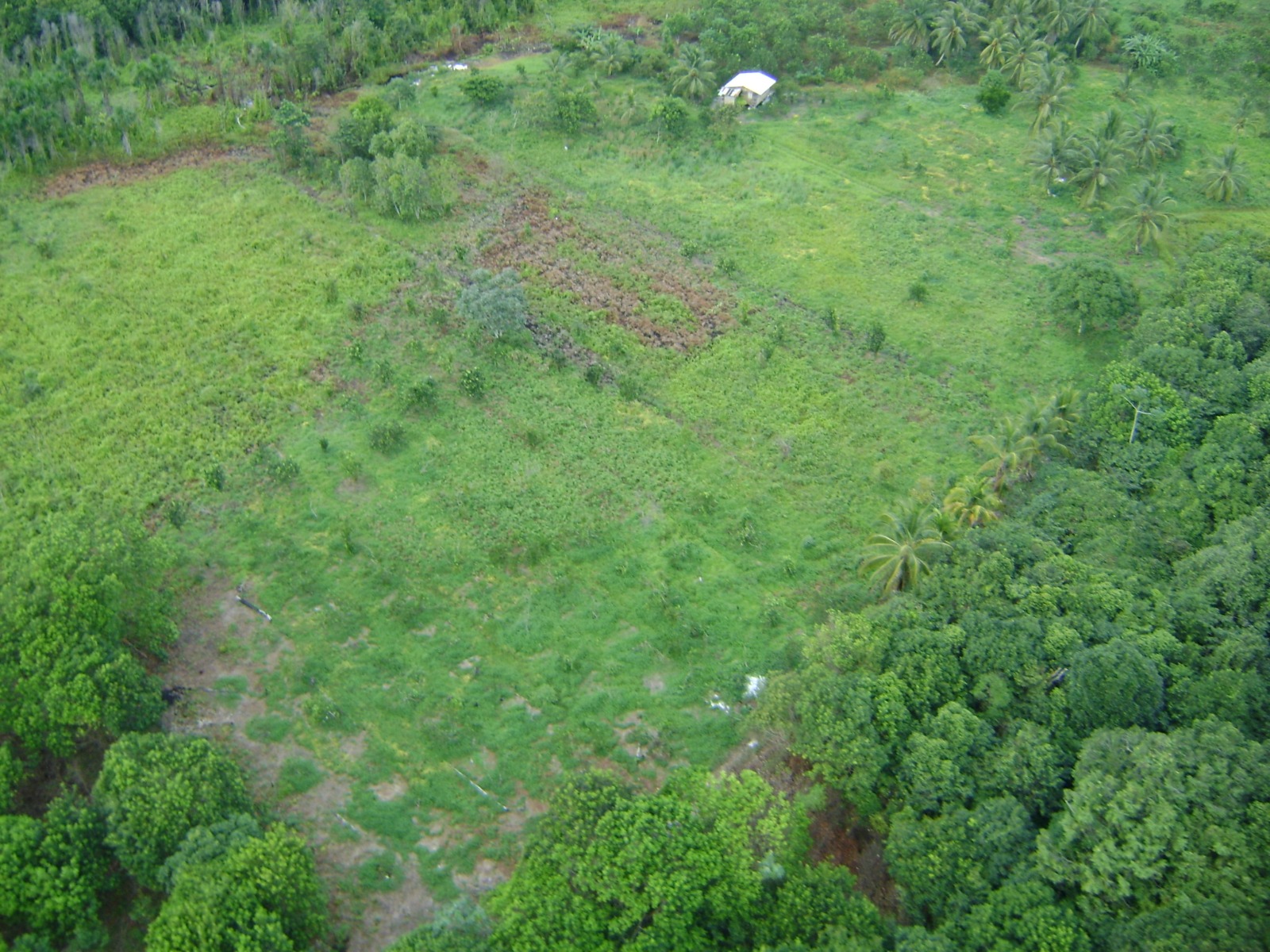 CK Forest Gardens - Book Your Experience